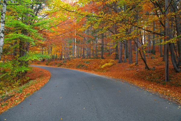 Höstens road — Stockfoto