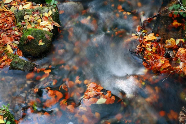 A víz áramlását az őszi táj — Stock Fotó
