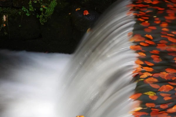 Fluxo de água no outono cenário — Fotografia de Stock