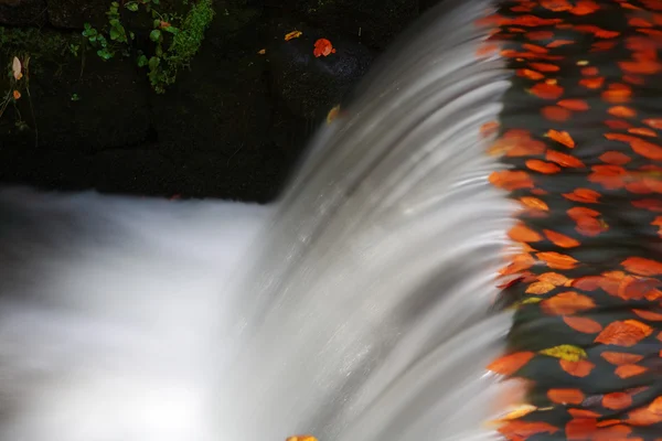 Flusso d'acqua in autunno scenario — Foto Stock