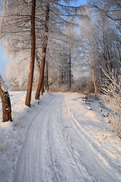Cenário de inverno — Fotografia de Stock