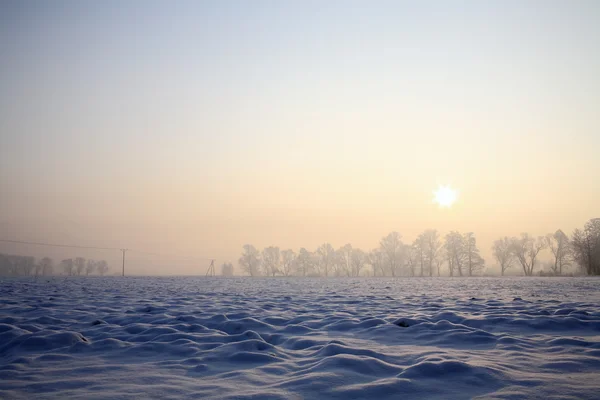 Vinterlandskap — Stockfoto