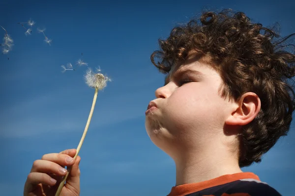 Boy blowing dandelion against blue sky — Stock Photo, Image