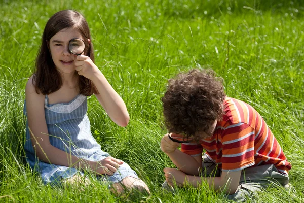 Kids using magnifying glass — Stock Photo, Image