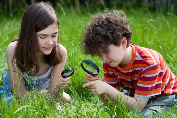 Kids using magnifying glass — Stock Photo, Image