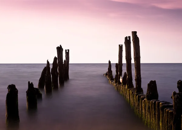 Tysta havet — Stockfoto