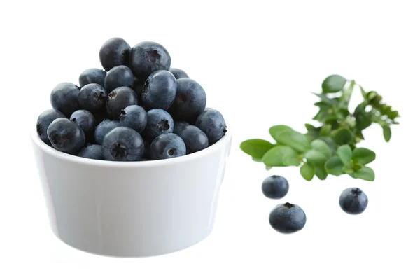 Blueberries — Stock Photo, Image