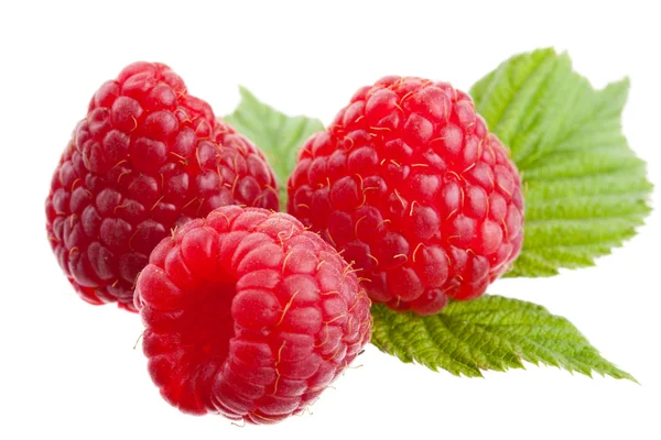 Raspberries Stock Picture