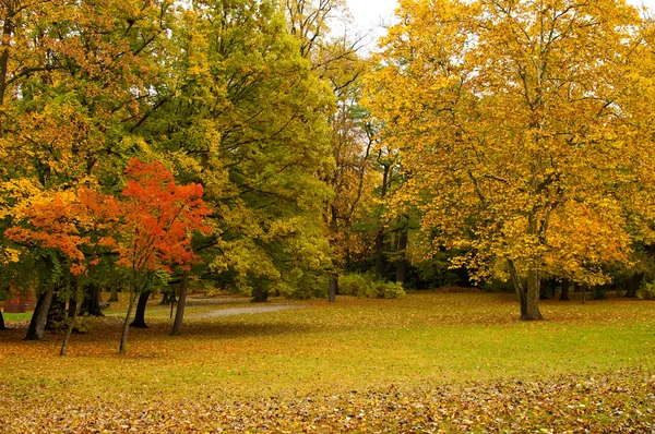 Jesienny park — Zdjęcie stockowe