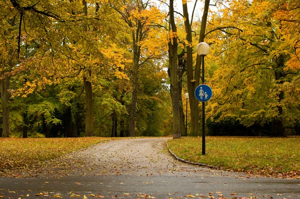 Podzimní park — Stock fotografie