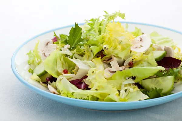 Vegetable salad — Stock Photo, Image