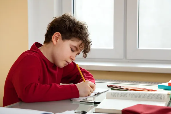 Boy learning — Stock Photo, Image