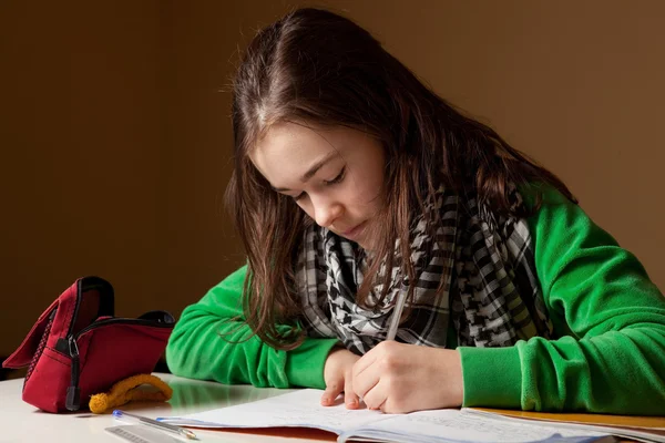 Menina fazendo lição de casa — Fotografia de Stock