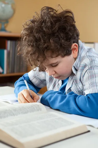 Chico haciendo tarea — Foto de Stock