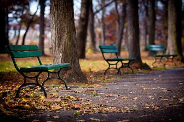 Höst i parken — Stockfoto