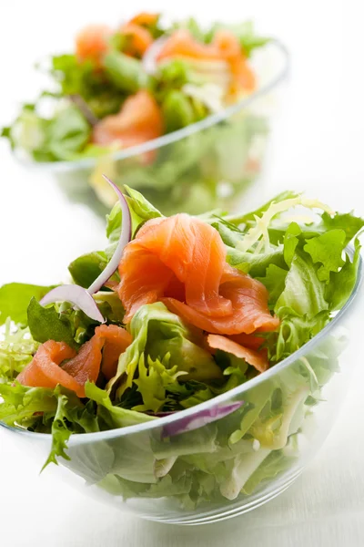 Salada de salmão — Fotografia de Stock