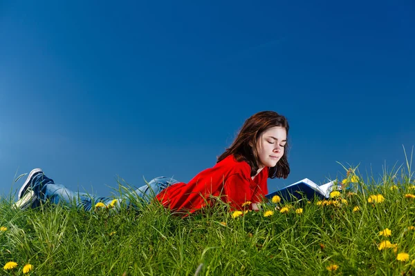 Dziewczyna czytanie książki na zielony łąka — Zdjęcie stockowe