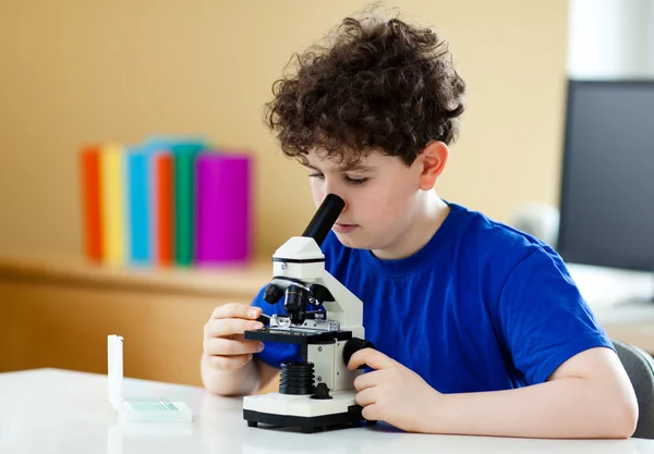 Menino examinando preparação — Fotografia de Stock