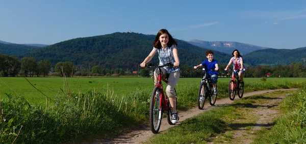 骑自行车的活跃家庭 — 图库照片