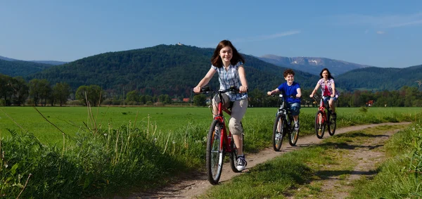 Vélo familial actif Photo De Stock