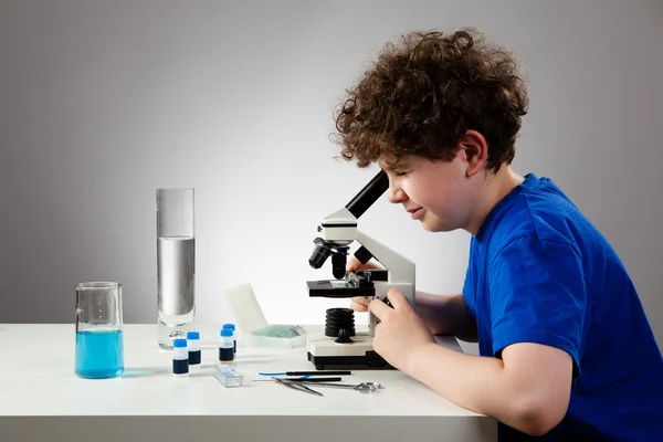Boy examining preparation — Stock Photo, Image
