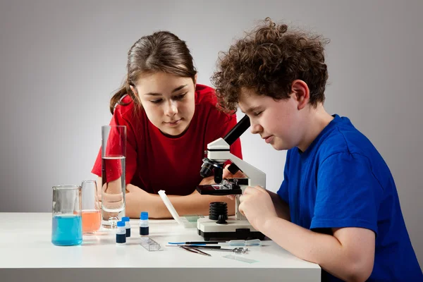 Menina e menino examinando preparação — Fotografia de Stock