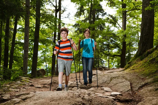 Caminata nórdica — Foto de Stock