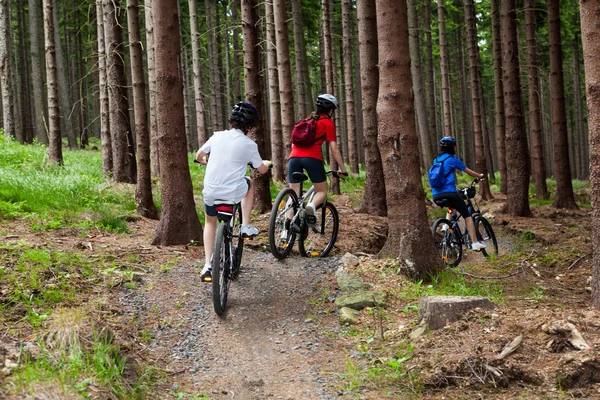 Familjen cykling — Stockfoto