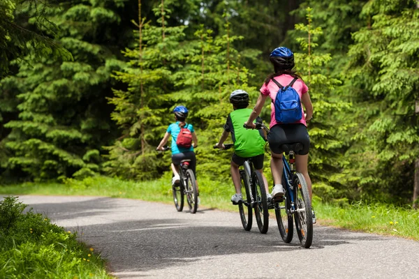 Family biking — Stok fotoğraf