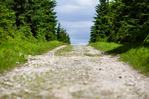 Sentier de randonnée — Photo