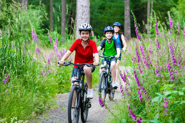 Actieve familie fietsen — Stockfoto