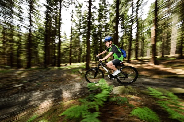 Jongen fietsen — Stockfoto