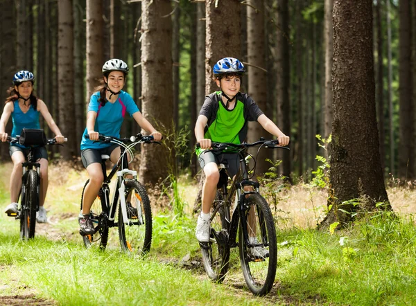 Aktiv familj cykling — Stockfoto