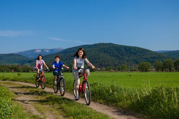Семейный велосипед — стоковое фото