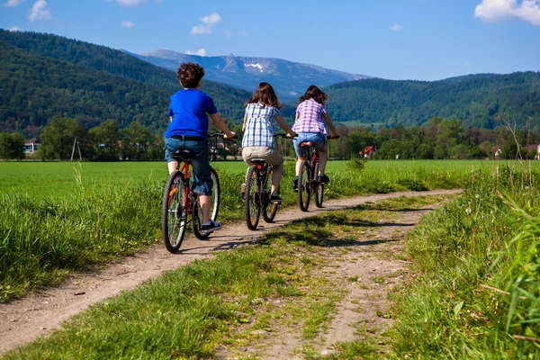 Family biking Telifsiz Stok Imajlar