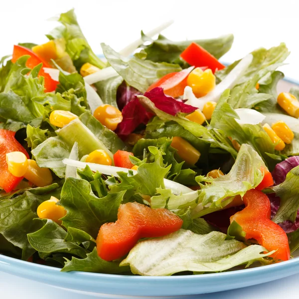 Groente salade — Stockfoto