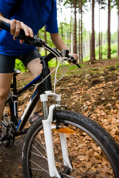 骑自行车上森林小径 — 图库照片