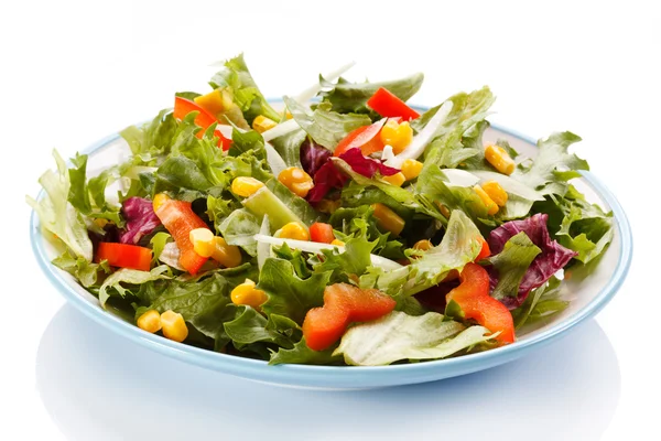 Groente salade Rechtenvrije Stockfoto's