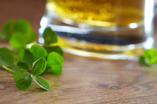 Clover and beer — Stock Photo, Image