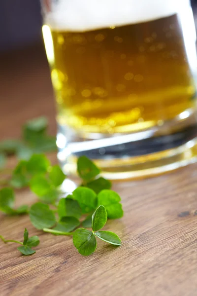 Clover and beer — Stock Photo, Image