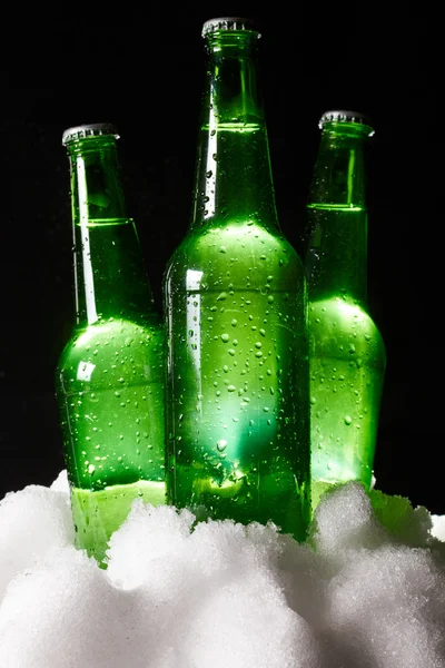 Garrafas de cerveja na neve — Fotografia de Stock