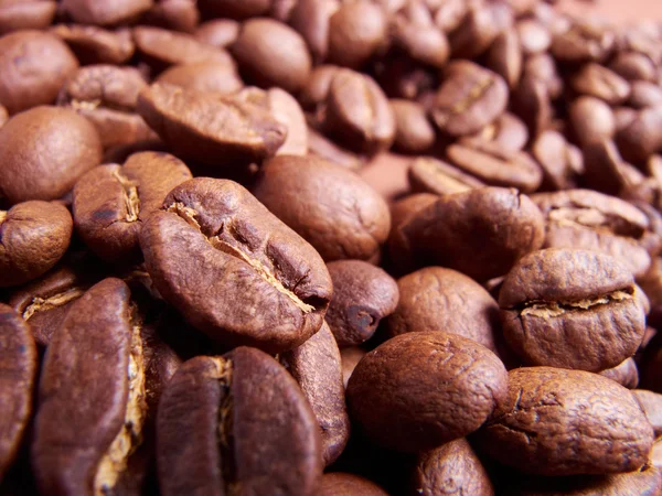 Kaffebönor. närbild — Stockfoto