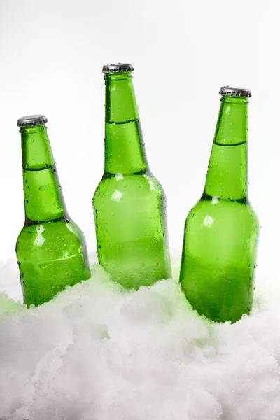 Beer bottles in snow — Stock Photo, Image