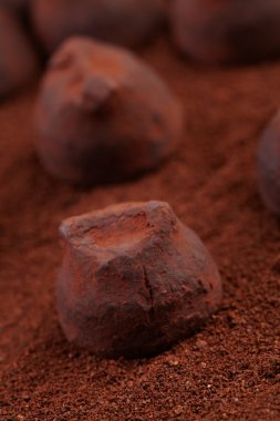 lezzetli tatlı. çikolata truffles