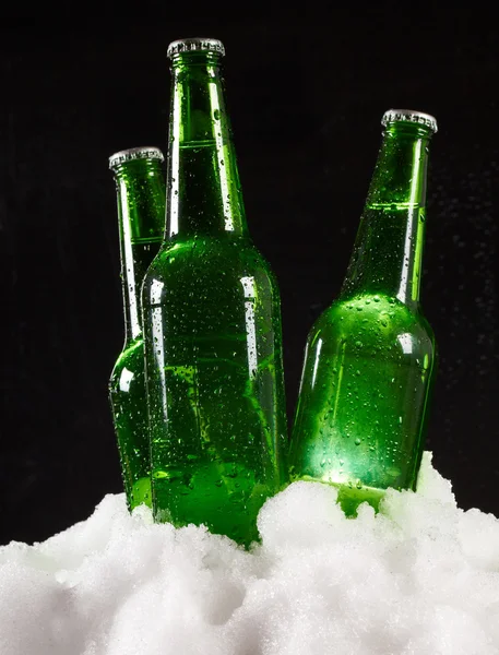 Bierflessen in sneeuw op zwarte achtergrond — Stockfoto