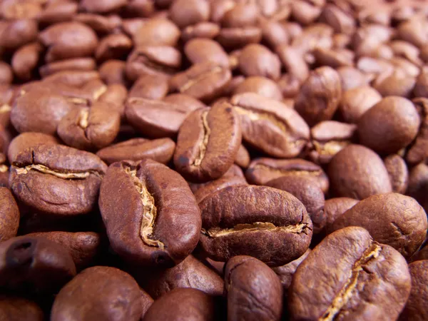 Coffee beans — Stock Photo, Image