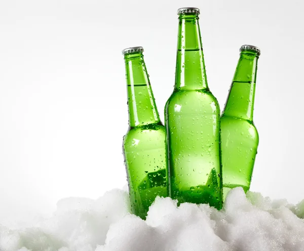 Botellas de cerveza en la nieve — Foto de Stock