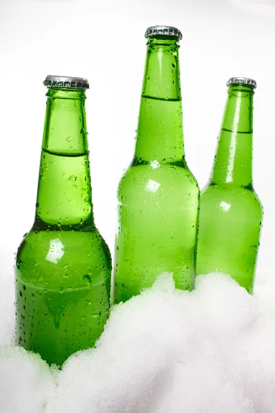 Bottiglie di birra sulla neve — Foto Stock
