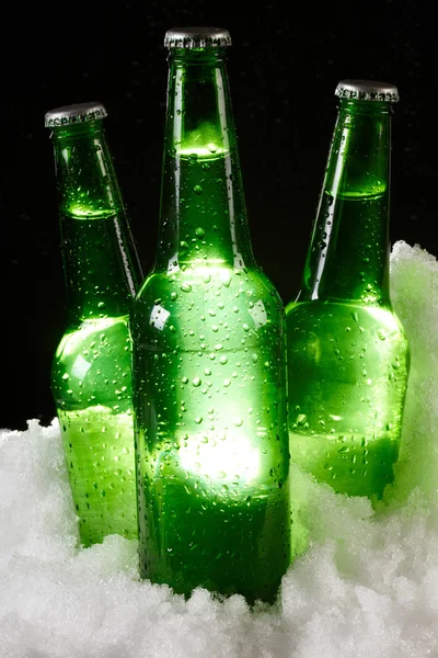 Beer bottles in snow — Stock Photo, Image