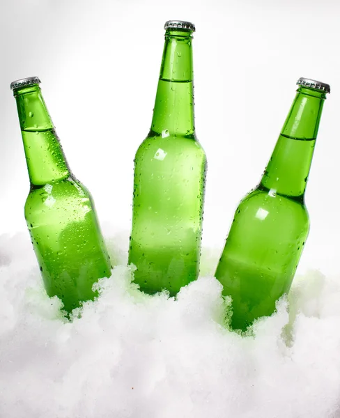 Garrafas de cerveja na neve — Fotografia de Stock